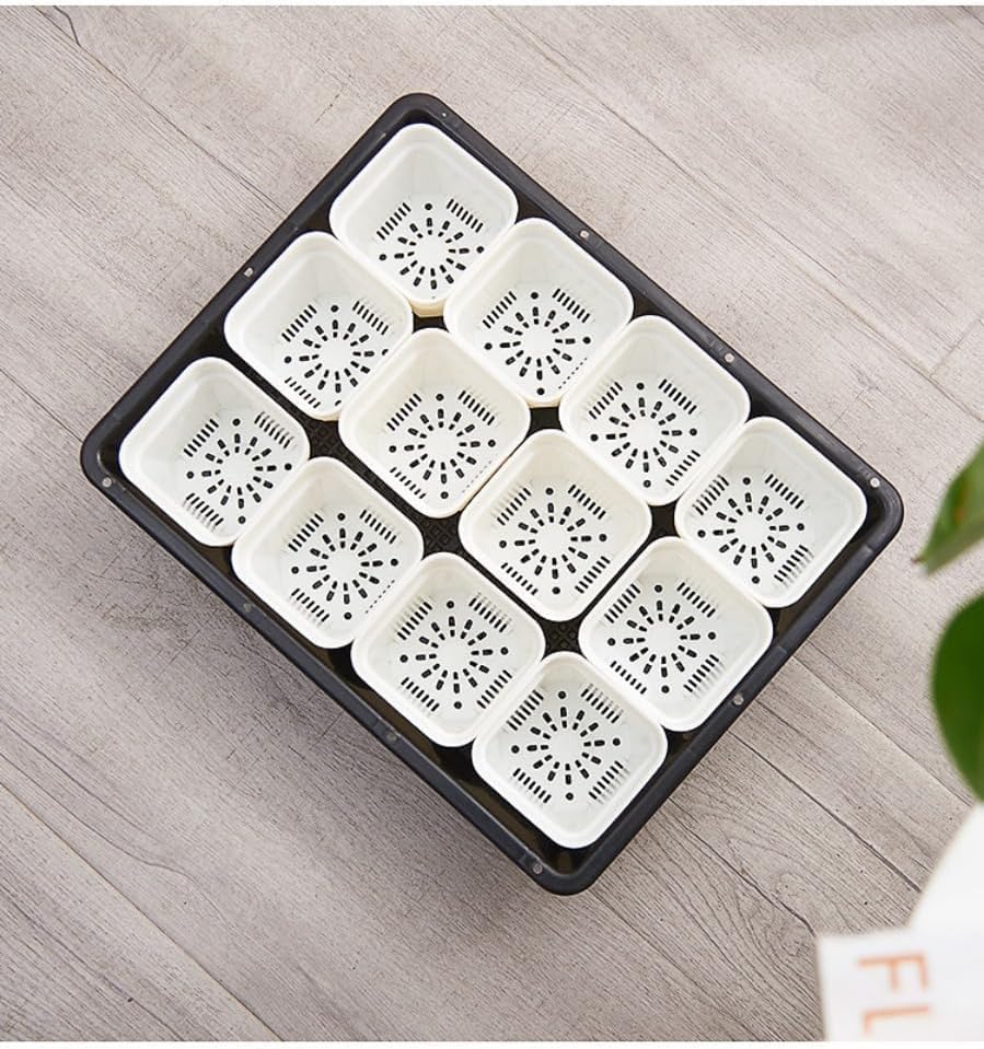 Amazon.co.jp: 育苗トレー 園芸 トレー セルトレイ 72穴 苗トレー 苗